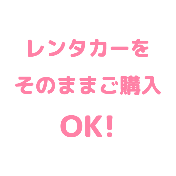 レンタカーをご購入OK